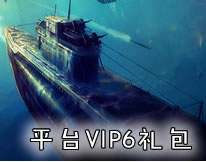 第一舰队平台VIP6特权礼包